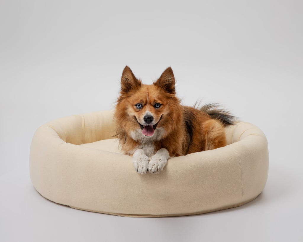 round wool dog bed with a dog lying in it