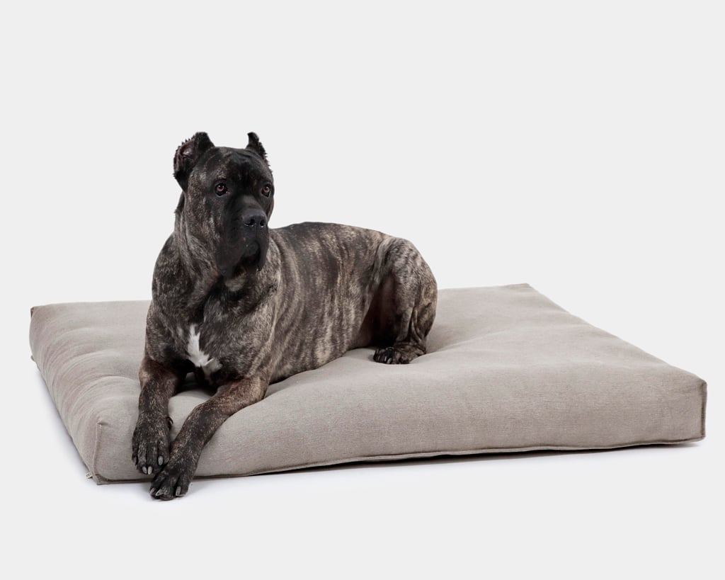 stor hund på en uldhundemadras
