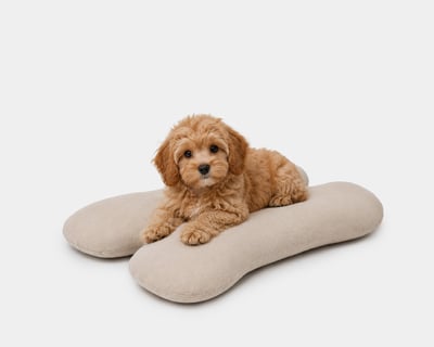 dog on home of wool bone shaped bed