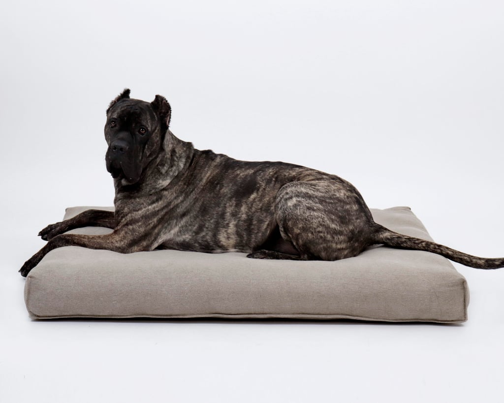 grand chien sur un matelas en laine pour chien