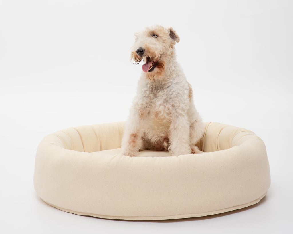 round wool dog bed with a small white dog in it
