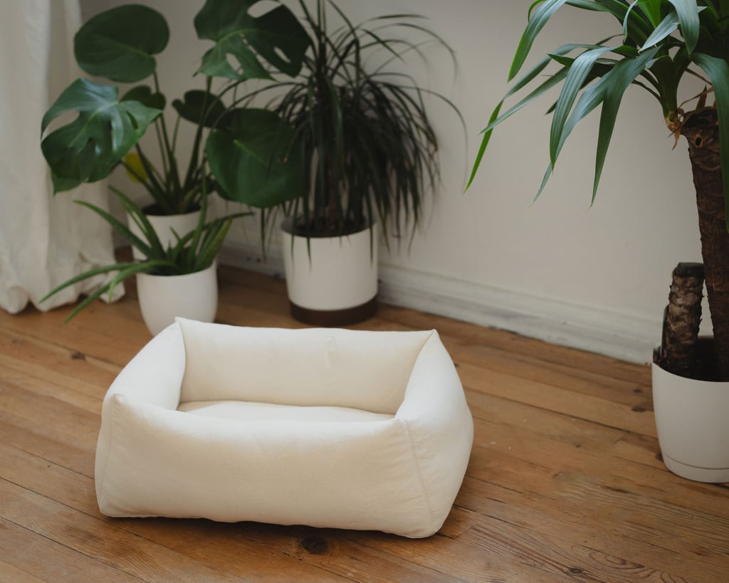 Wollkatzenbett auf dem Boden