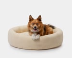 a dog lying in a woolen bed