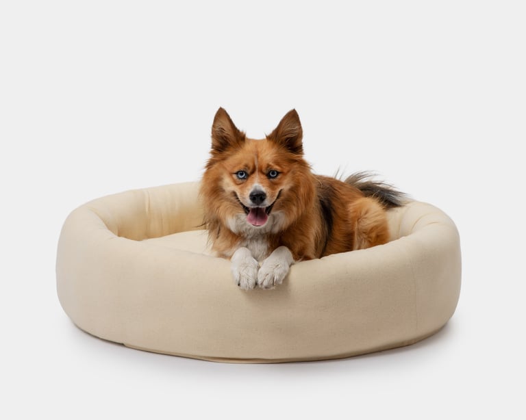 a dog lying in a woolen bed