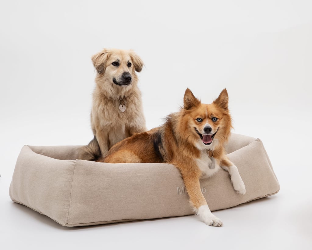 lit en laine pour chiens avec deux chiens dedans