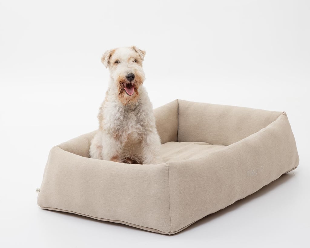 wool dog bed with a dog sitting in it