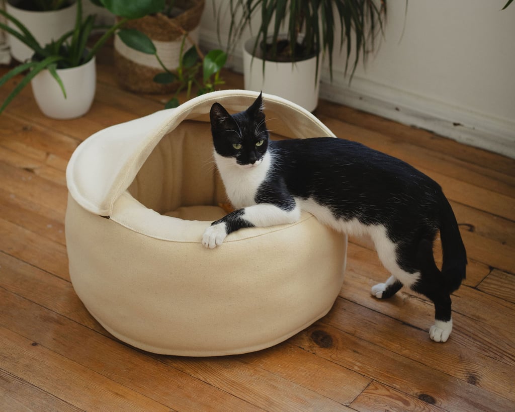 cat cave bed from wool with a cat going inside it