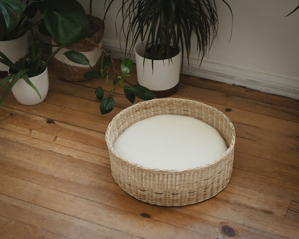 cat bed from wool in a basket - home of wool