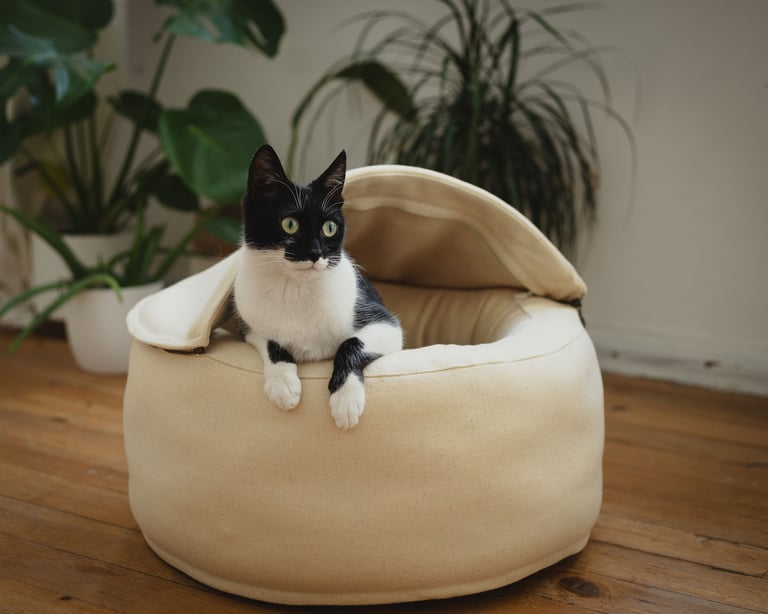 kattengrotbed van wol met een kat erop