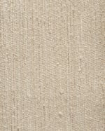 100% TISSU DE SOIE DE MÛRIER SEASHEL CLOSE UP