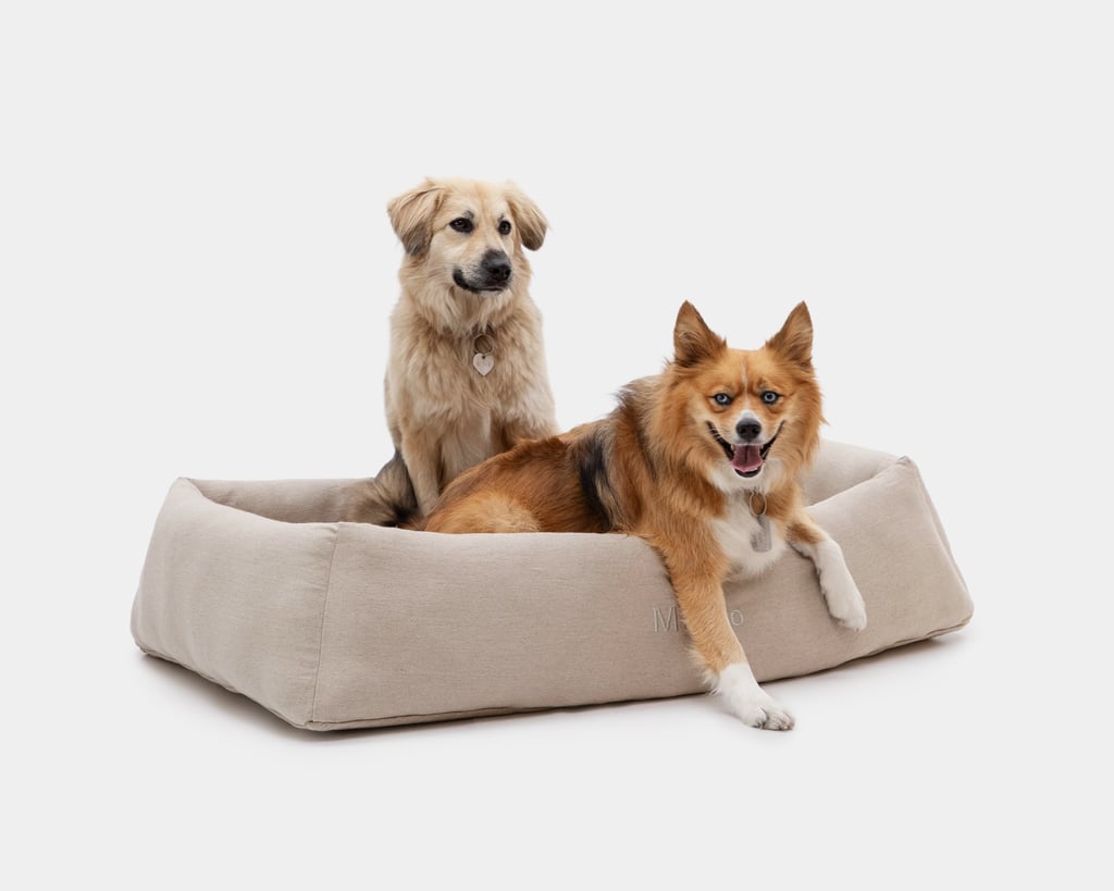 uldhundeseng med to hunde i