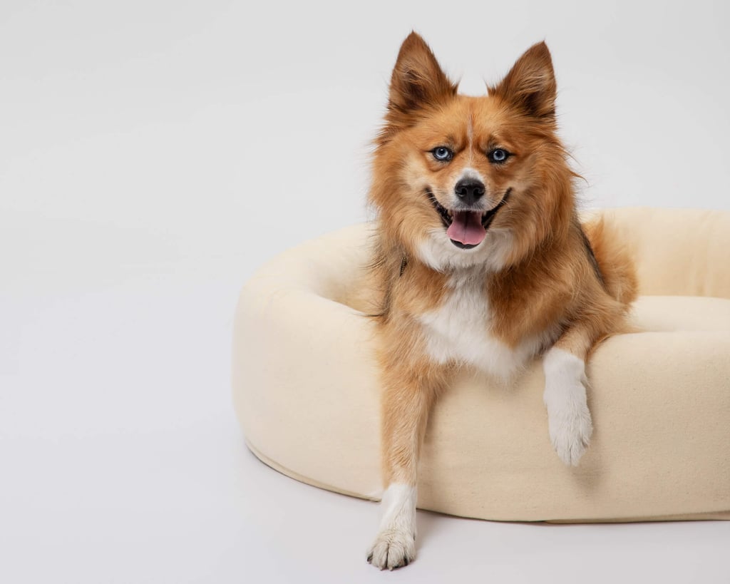 dog relaxing in a round natural wool dog bed