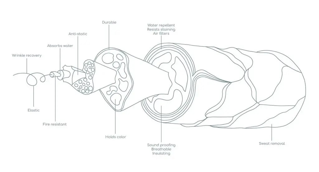 wool science infographic